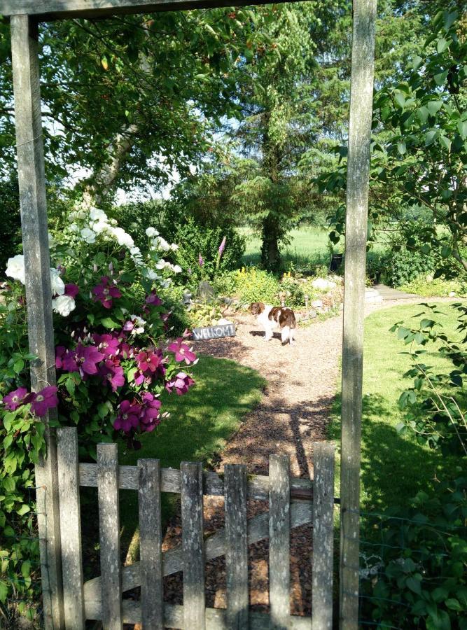 B&B Stateheide Noordbergum Exteriör bild
