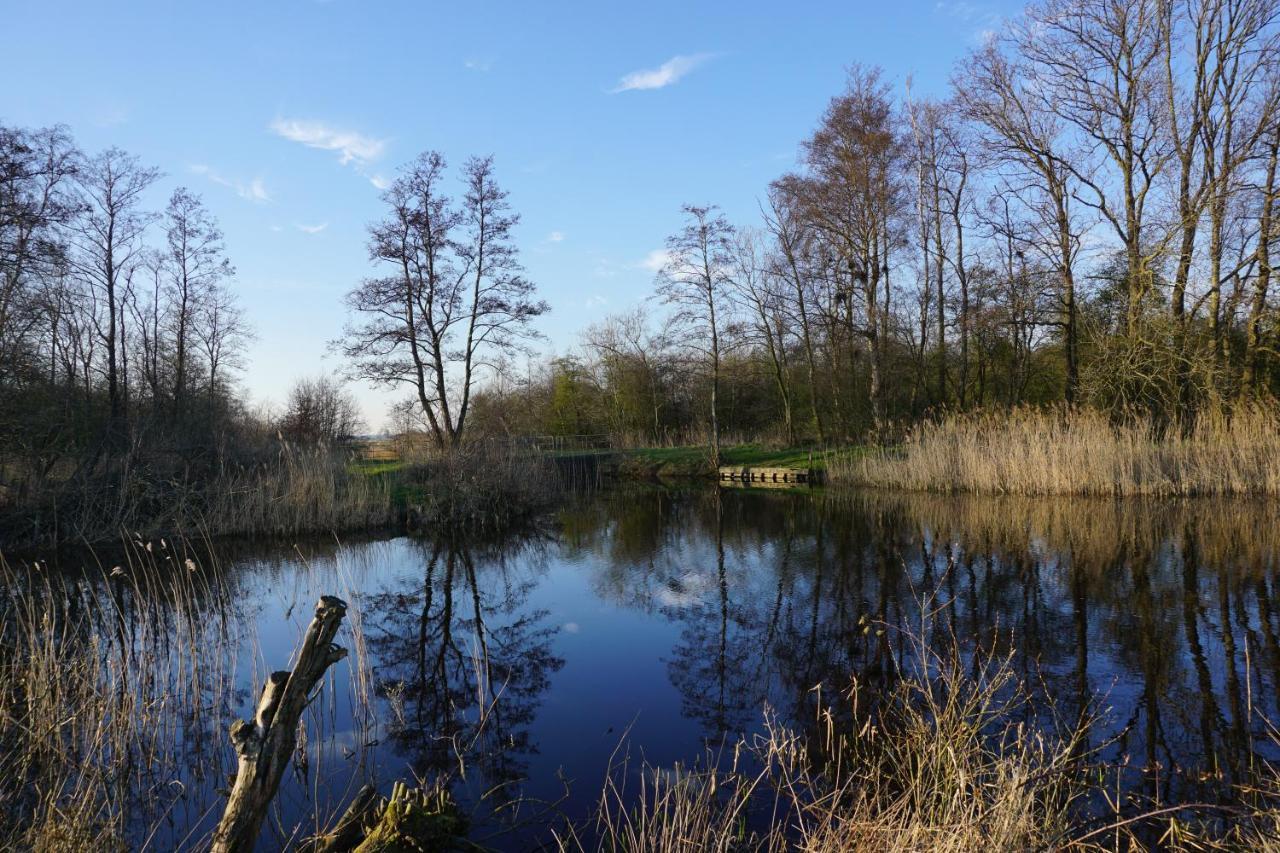 B&B Stateheide Noordbergum Exteriör bild